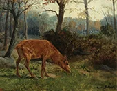 A Deer Grazing By Rosa Bonheur