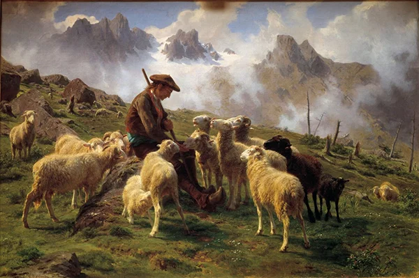 An Alpine Shepherd Giving Salt to His Sheep By Rosa Bonheur
