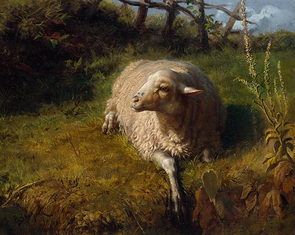 A Sheep at Rest By Rosa Bonheur