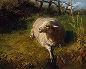 A Sheep at Rest By Rosa Bonheur