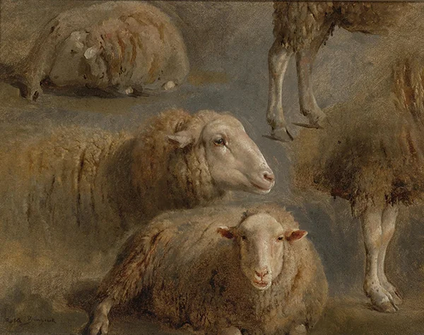 A Study of Sheep By Rosa Bonheur