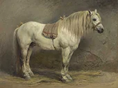 A White Horse 1860 By Rosa Bonheur