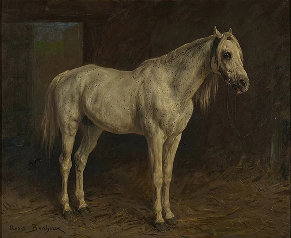 A White Horse 1860 By Rosa Bonheur