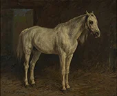 A White Horse 1860 By Rosa Bonheur