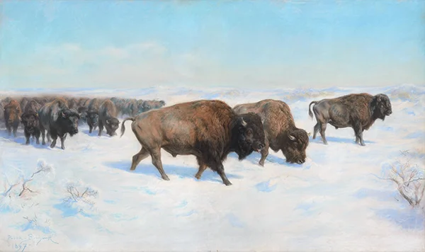 Bison in the Snow 1897 By Rosa Bonheur