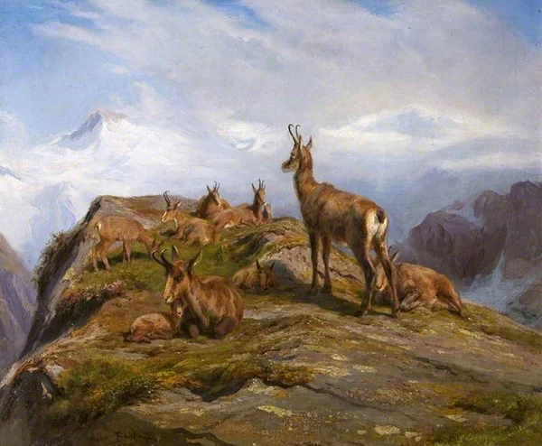 Chamois 1888 By Rosa Bonheur