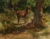 Deer and Wild Animals in a Wood 1893 By Rosa Bonheur