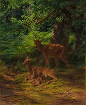 Deer in Repose 1867 By Rosa Bonheur