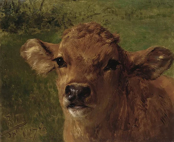 Head of a Calf 1878 By Rosa Bonheur