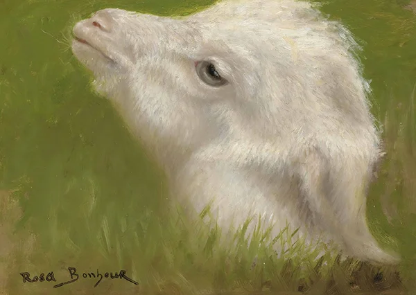 Head of a Lamb By Rosa Bonheur