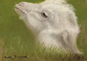 Head of a Lamb By Rosa Bonheur