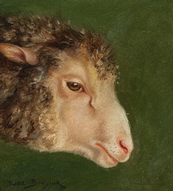 Head of an Ewe By Rosa Bonheur