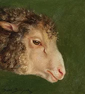 Head of an Ewe By Rosa Bonheur