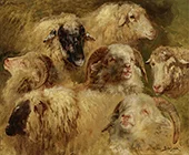 Heads of Sheep and Rams By Rosa Bonheur