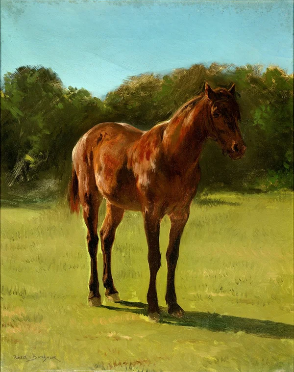 Horse 1800 By Rosa Bonheur