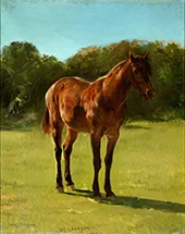 Horse 1800 By Rosa Bonheur