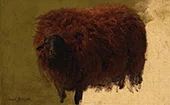 Large Wooly Sheep By Rosa Bonheur