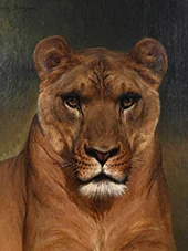 Lioness Head By Rosa Bonheur
