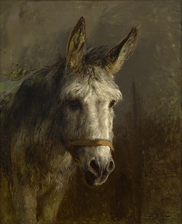 Portrait of a Donkey By Rosa Bonheur