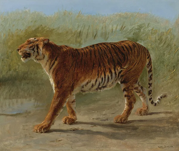 Royal Tiger Marching By Rosa Bonheur