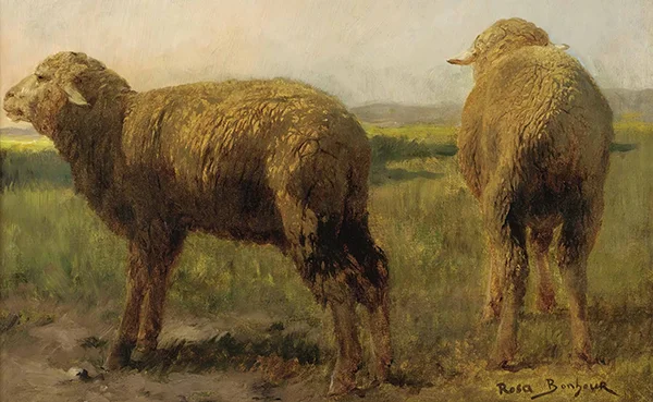 Sheep in a Meadow By Rosa Bonheur