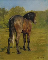 Bay Horse in a Sunny Meadow By Rosa Bonheur