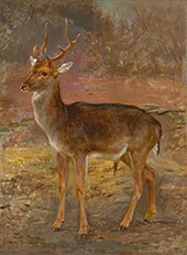 Stag 1885 By Rosa Bonheur