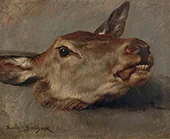 Study of a Doe's Head By Rosa Bonheur