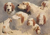 Study of Hunting Dogs By Rosa Bonheur