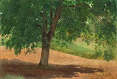 Study of Light and Shade By Rosa Bonheur
