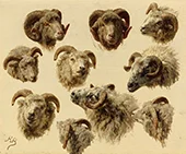 Study of Ram's Heads By Rosa Bonheur
