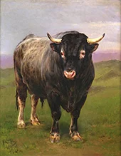 The Black Bull By Rosa Bonheur