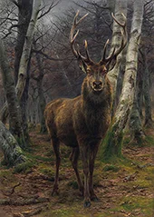 The King of the Forest 1878 By Rosa Bonheur