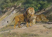 The King Watches 1887 By Rosa Bonheur