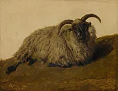 The Merino By Rosa Bonheur
