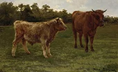 Two Cows Grazing By Rosa Bonheur
