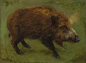 Wild Boar By Rosa Bonheur