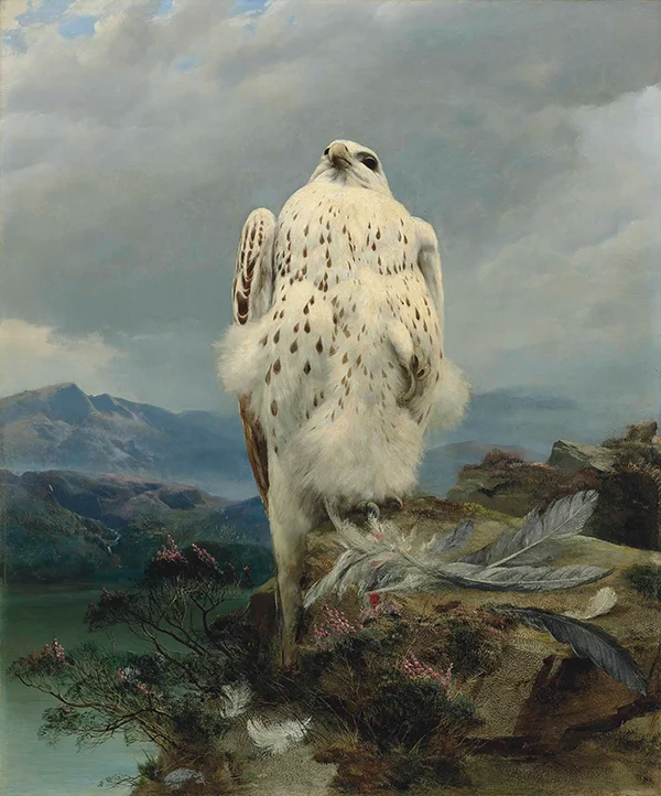 A Gyrfalcon in an Extensive Mountainous Landscape By Joseph Wolf