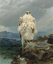 A Gyrfalcon in an Extensive Mountainous Landscape By Joseph Wolf