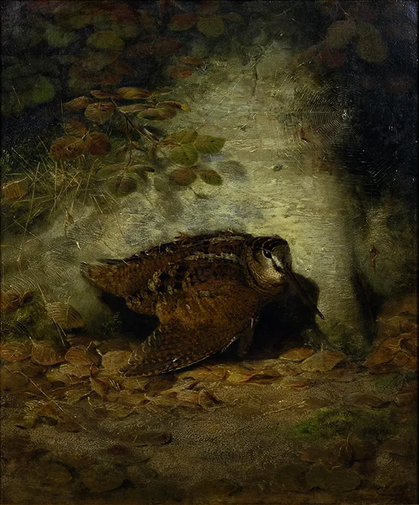 Autumn Wounded Woodcock By Joseph Wolf