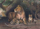 The Lion By Joseph Wolf