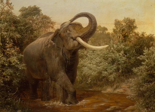 The Monster Tusker By Joseph Wolf