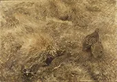Autumn Landscape with Partridges 1913 By Bruno Liljefors