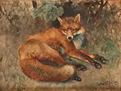 Fox Resting 1890 By Bruno Liljefors