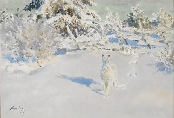 Hare 1937 By Bruno Liljefors