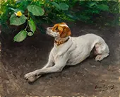 Portrait of a Dog 1891 By Bruno Liljefors