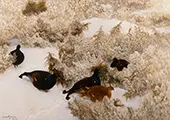 Red Grouse in the Snow 1909 By Bruno Liljefors