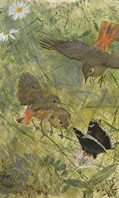 Redstarts and Butterflies 1885 By Bruno Liljefors