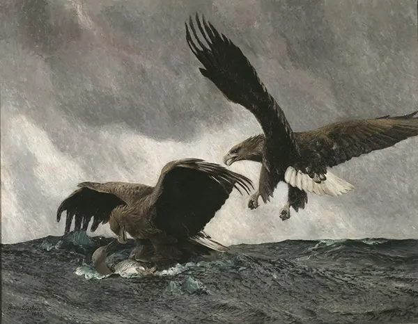 Sea Eagles 1897 By Bruno Liljefors