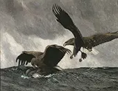 Sea Eagles 1897 By Bruno Liljefors